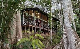 Eco Hotel Aldea -Amazonas