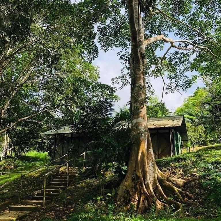 Eco Hotel Aldea -Amazonas Puerto Nariño Zewnętrze zdjęcie