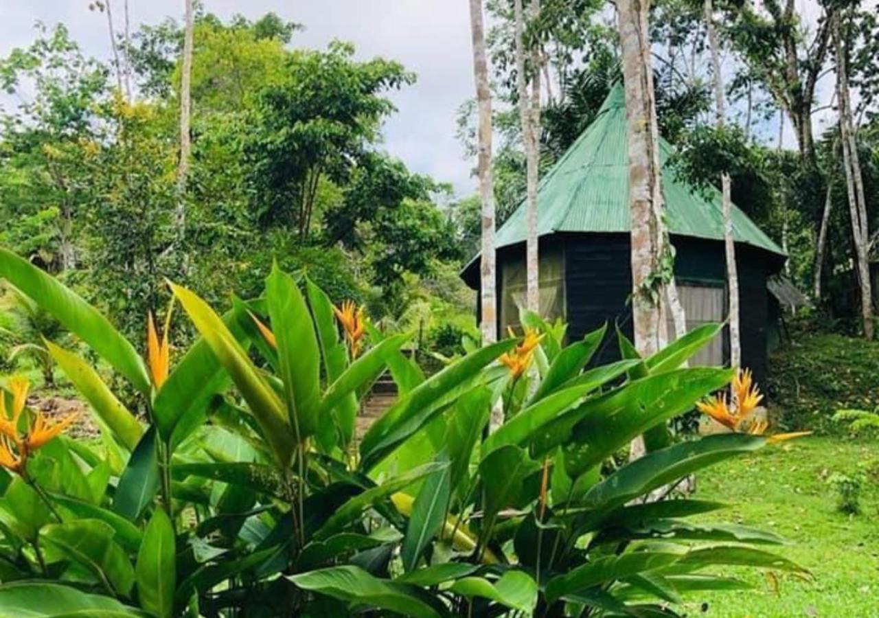 Eco Hotel Aldea -Amazonas Puerto Nariño Zewnętrze zdjęcie