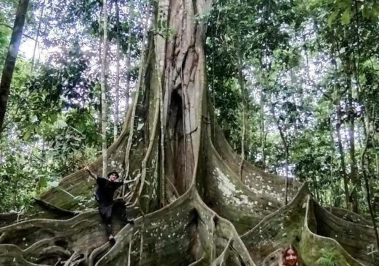 Eco Hotel Aldea -Amazonas Puerto Nariño Zewnętrze zdjęcie