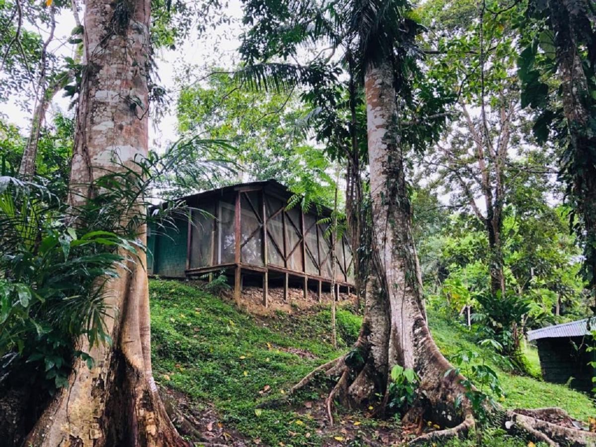 Eco Hotel Aldea -Amazonas Puerto Nariño Zewnętrze zdjęcie