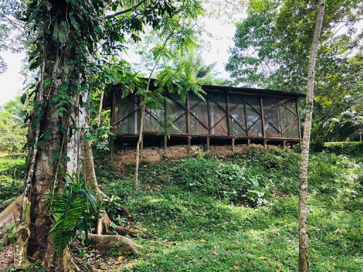 Eco Hotel Aldea -Amazonas Puerto Nariño Zewnętrze zdjęcie