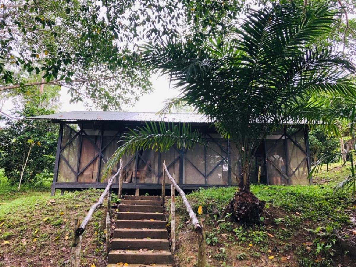 Eco Hotel Aldea -Amazonas Puerto Nariño Zewnętrze zdjęcie